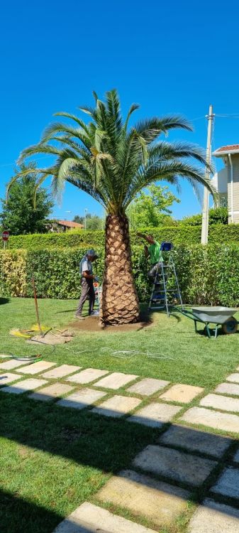garden designer