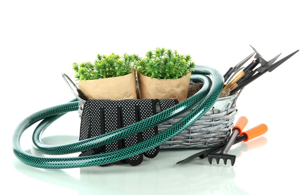 Servizi di giardinaggio disponibili di Mirco Vivai - Viareggio Lucca